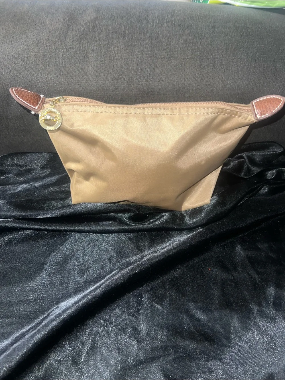 Longchamp pouch